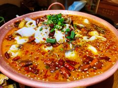 香辣酸菜黑鱼火锅-云海肴·汽锅鸡·云南菜(天津国金汇店)