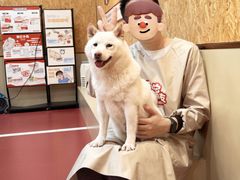 -和它·交个朋友·狗咖猫咖(爱琴海店)