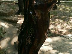 -淄博聊斋城景区