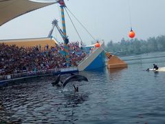 -秦皇岛乐岛海洋王国