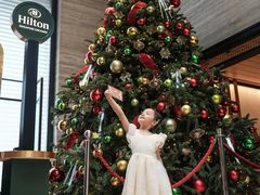 -新加坡乌节希尔顿酒店 (SG Clean)