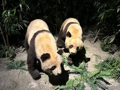-武汉园博园(武汉自然博物馆)