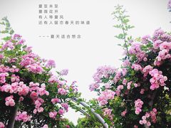 -尚贤河湿地