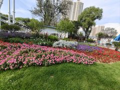 -西宁市人民公园(城西区)
