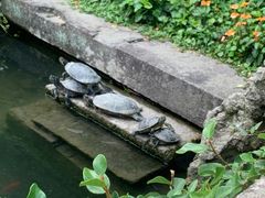 -宁波市保国寺古建筑博物馆