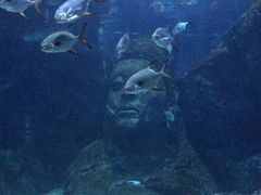 -暹罗海洋世界
