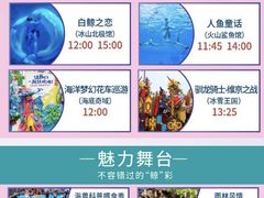 -上海海昌海洋公园