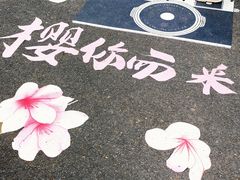 -西北湖绿化广场