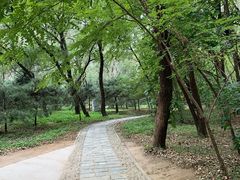 -廊坊市自然公园