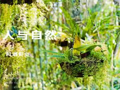 -中国科学院西双版纳热带植物园