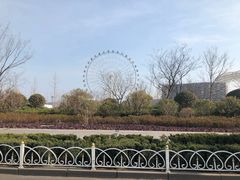 -琴岛之星摩天轮