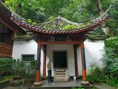 -茶颜悦色(岳麓山顶店)