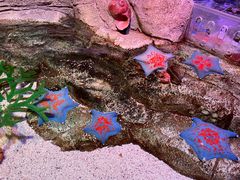 -沈阳海洋探索中心