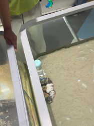 -meland亲子乐园•派对•研学(苏州悠方购物中心店)