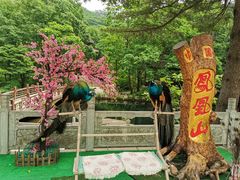 -丹东凤凰山景区