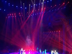 -珠海横琴长隆《卡卡虎奇遇记》