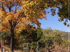 -北京西山国家森林公园