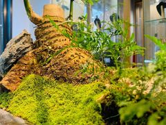 -阜昌典当行(阜成门店)