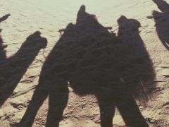 -敦煌雅丹国家地质公园
