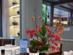 -狮王府淮扬菜(夫子庙老门东店)