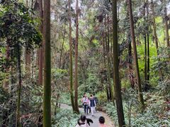 -窦圌山风景区