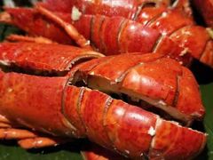 -上海锦江汤臣洲际大酒店壹阶层