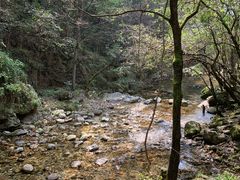 -牛背梁国家森林公园