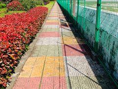 -金山嘴渔村