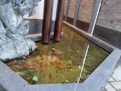 -溪畔•新徽菜(碧湖云溪店)