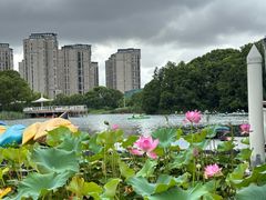 -新江湾城公园
