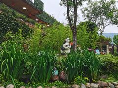 -熊猫主题餐厅