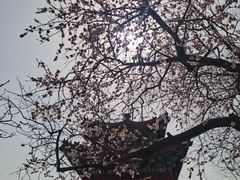 -颐和园