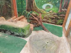 -上海大自然野生昆虫馆(东方明珠·爬宠昆虫探索中心)
