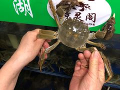 -阳澄湖大闸蟹·琼灵阁牌品牌连锁(吴中总店)
