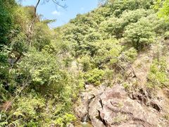 -广州白江湖森林公园