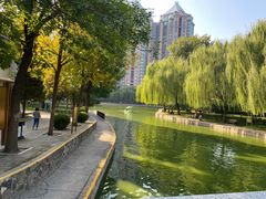 -团结湖公园