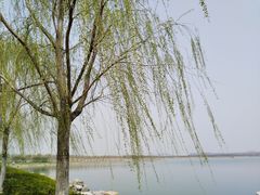 -天津东丽湖风景区