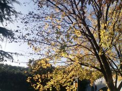 -西安汉城湖景区