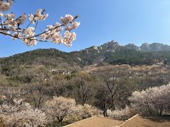 -崂山九水游览区
