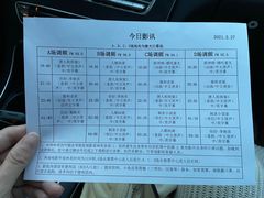 -枫花园汽车电影院(朝阳公园店)