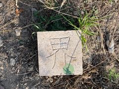 -北京鹫峰国家森林公园