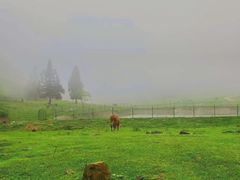 -山王坪喀斯特国家生态公园