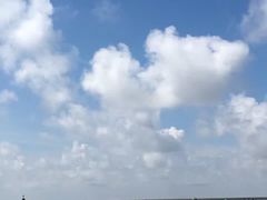 -上海棕榈滩海景酒店