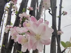 -桂溪生态公园
