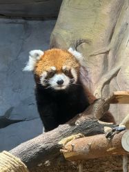 -Zoolung Zoolung动物主题公园(海信广场店)