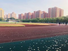 -北京邮电大学