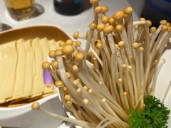 -海底捞火锅(凤凰广场店)