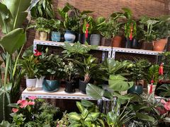 -金陵花卉交易市场