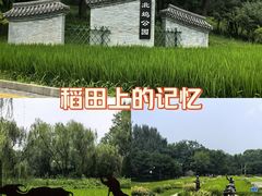 -北坞公园