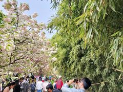 -西安青龙寺遗址景区